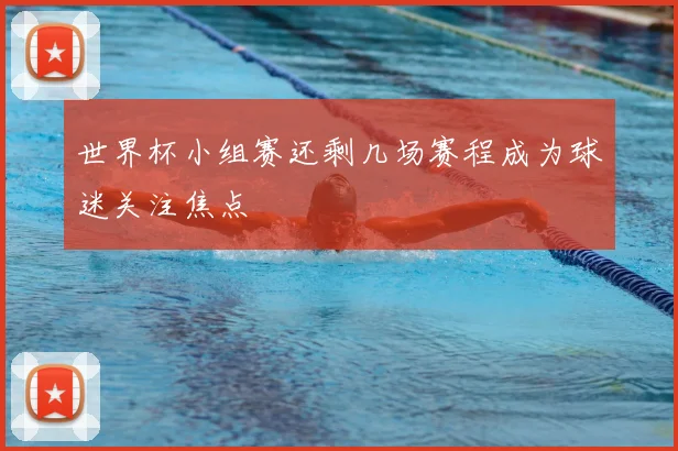 世界杯小组赛还剩几场赛程成为球迷关注焦点
